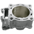 CYLINDER WORKS STANDARD BORE CYLINDER (10001) - DRIVEN Canada's Powersports 71420503935110001