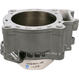 CYLINDER WORKS STANDARD BORE CYLINDER (10005) - DRIVEN Canada's Powersports 71420503917710005