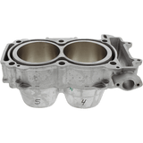 CYLINDER WORKS STANDARD BORE CYLINDER (CW60007) - DRIVEN Canada's Powersports 714205042269CW60007