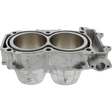 CYLINDER WORKS STANDARD BORE CYLINDER (CW60007) - DRIVEN Canada's Powersports 714205042269CW60007