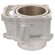 CYLINDER WORKS STANDARD BORE CYLINDER (10009) - DRIVEN Canada's Powersports 71420503935110009