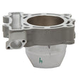 CYLINDER WORKS STANDARD BORE CYLINDER (30005) - DRIVEN Canada's Powersports 71420504039530005