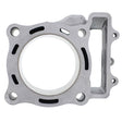 CYLINDER WORKS STANDARD BORE CYLINDER (CW10011) - DRIVEN Canada's Powersports 714205039399CW10011
