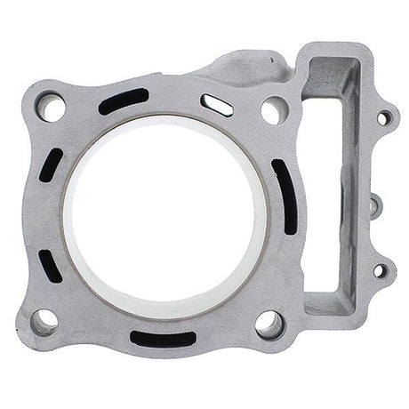CYLINDER WORKS STANDARD BORE CYLINDER (CW10011) - DRIVEN Canada's Powersports 714205039399CW10011