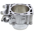 CYLINDER WORKS STANDARD BORE CYLINDER (CW20012) - DRIVEN Canada's Powersports 714205040005CW20012