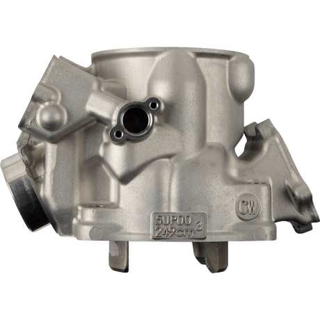 CYLINDER WORKS STANDARD BORE CYLINDER (20009) - DRIVEN Canada's Powersports 71420503997920009