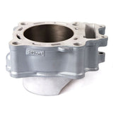 CYLINDER WORKS STANDARD CYLINDER KIT (10007) - DRIVEN Canada's Powersports 71420503920710007