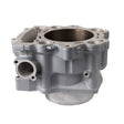 CYLINDER WORKS STANDARD CYLINDER KIT (20004) - DRIVEN Canada's Powersports 71420503987020004