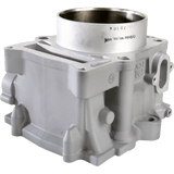 CYLINDER WORKS STANDARD CYLINDER KIT (20104) - DRIVEN Canada's Powersports 71420504005020104