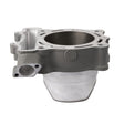 CYLINDER WORKS STANDARD CYLINDER KIT (30006) - DRIVEN Canada's Powersports 71420504042530006