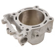 CYLINDER WORKS STANDARD CYLINDER KIT (30011) - DRIVEN Canada's Powersports 71420504064730011
