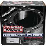CYLINDER WORKS STANDARD CYLINDER KIT (CW20013) - DRIVEN Canada's Powersports 714205041941CW20013