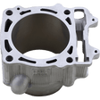 CYLINDER WORKS STANDARD CYLINDER KIT (CW20014) - DRIVEN Canada's Powersports 714205041972CW20014
