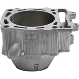 CYLINDER WORKS STANDARD CYLINDER KIT (CW20014) - DRIVEN Canada's Powersports 714205041972CW20014