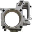 CYLINDER WORKS STANDARD CYLINDER KIT (CW30013) - DRIVEN Canada's Powersports 714205040593CW30013