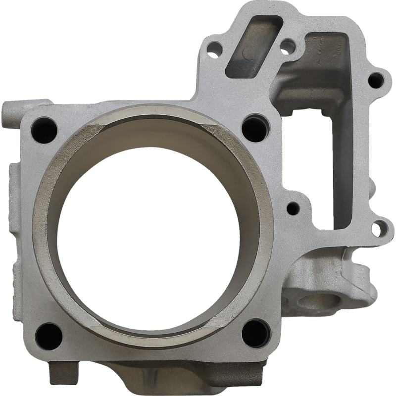CYLINDER WORKS STANDARD CYLINDER KIT (CW30013) - DRIVEN Canada's Powersports 714205040593CW30013
