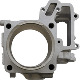 CYLINDER WORKS STANDARD CYLINDER KIT (CW30013) - DRIVEN Canada's Powersports 714205040593CW30013