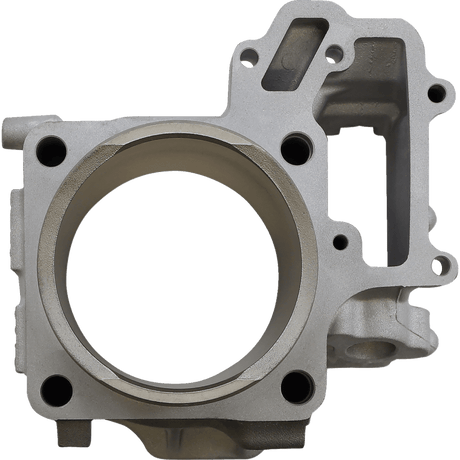 CYLINDER WORKS STANDARD CYLINDER KIT (CW30013) - DRIVEN Canada's Powersports 714205040593CW30013
