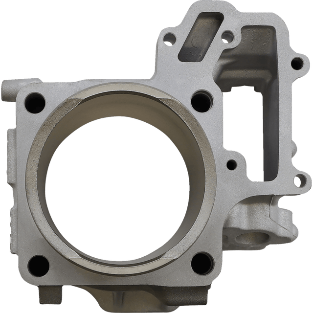 CYLINDER WORKS STANDARD CYLINDER KIT (CW30013) - DRIVEN Canada's Powersports 714205040593CW30013
