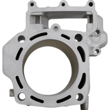CYLINDER WORKS STANDARD CYLINDER KIT (CW30013) - DRIVEN Canada's Powersports 714205040593CW30013