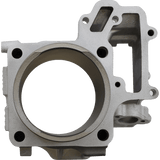 CYLINDER WORKS STANDARD CYLINDER KIT (CW30014) - DRIVEN Canada's Powersports 714205042085CW30014