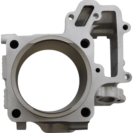 CYLINDER WORKS STANDARD CYLINDER KIT (CW30014) - DRIVEN Canada's Powersports 714205042085CW30014