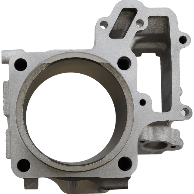 CYLINDER WORKS STANDARD CYLINDER KIT (CW30014) - DRIVEN Canada's Powersports 714205042085CW30014