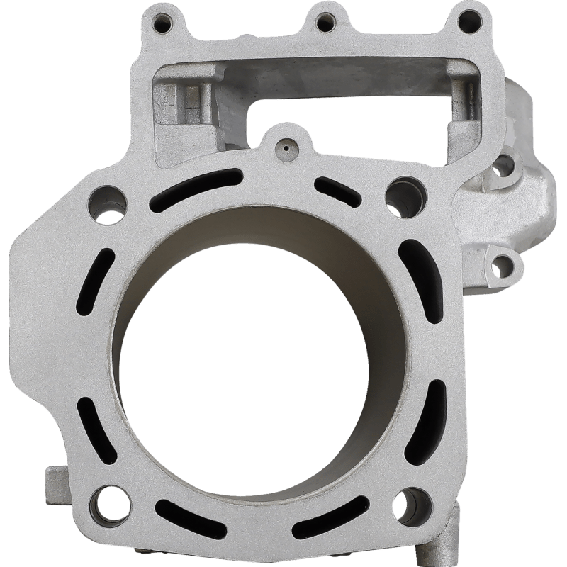 CYLINDER WORKS STANDARD CYLINDER KIT (CW30014) - DRIVEN Canada's Powersports 714205042085CW30014