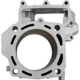 CYLINDER WORKS STANDARD CYLINDER KIT (CW30014) - DRIVEN Canada's Powersports 714205042085CW30014