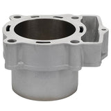 CYLINDER WORKS STANDARD CYLINDER KIT (CW50008) - DRIVEN Canada's Powersports 714205041347CW50008