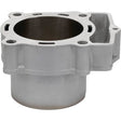 CYLINDER WORKS STANDARD CYLINDER KIT (CW50008) - DRIVEN Canada's Powersports 714205041347CW50008