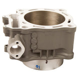 CYLINDER WORKS CYLINDER (10003) - DRIVEN Canada's Powersports 71420503909210003