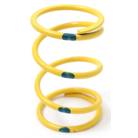 DALTON PRIMARY CLUTCH SPRINGS - DRIVEN Canada's Powersports DPPS - Y/BLDPPS - Y/BL