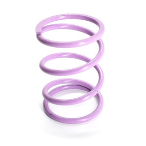 DALTON SECONDARY CLUTCH SPRINGS (DPSS - V) - DRIVEN Canada's Powersports DPSS - VDPSS - V
