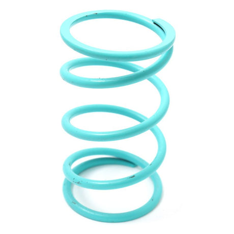 DALTON SECONDARY CLUTCH SPRINGS (DPSSAQ) - DRIVEN Canada's Powersports 472DPSSAQDPSSAQ