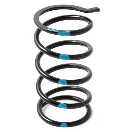DALTON SECONDARY CLUTCH SPRINGS - DRIVEN Canada's Powersports DPSS - B/BL - TDPSS - B/BL - T