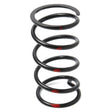DALTON SECONDARY CLUTCH SPRINGS - DRIVEN Canada's Powersports DPSS - B/R - TDPSS - B/R - T