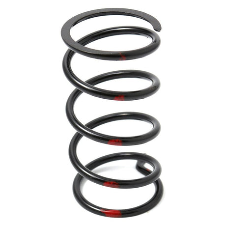 DALTON SECONDARY CLUTCH SPRINGS - DRIVEN Canada's Powersports DPSS - B/R - TDPSS - B/R - T