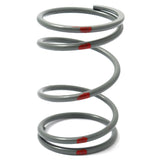 DALTON SECONDARY CLUTCH SPRINGS - DRIVEN Canada's Powersports DPSS - GY/RDPSS - GY/R