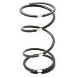 DALTON SECONDARY CLUTCH SPRINGS - DRIVEN Canada's Powersports DPSS - GY/WDPSS - GY/W