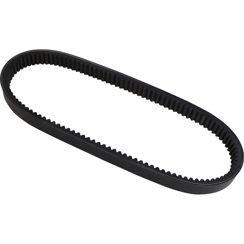 DAYCO HP DRIVE BELT (HP3038) - DRIVEN Canada's Powersports 036687316103HP3038