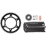 DID CHAIN KIT KAW EX300 (DKK - 017) - DRIVEN Canada's Powersports 026318108719DKK - 017