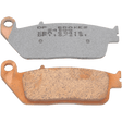 DP BRAKES DP118 STANDARD COMPOUND BRAKE PAD SET - DRIVEN Canada's Powersports 5060637510155DP118