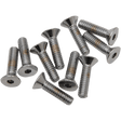 DRAG SPECIALTIES 1/4"20 X3/4" BOLT HEADS (10) (MPB366) - DRIVEN Canada's Powersports 632393173407MPB366