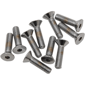 DRAG SPECIALTIES 1/4"20 X3/4" BOLT HEADS (10) (MPB366) - DRIVEN Canada's Powersports 632393173407MPB366