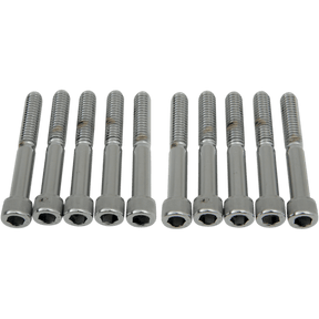 DRAG SPECIALTIES 5/16 - 18*2 - 1/4 ALLEN (10) CY - CHROME (MPB222) - DRIVEN Canada's Powersports 632393169813MPB222