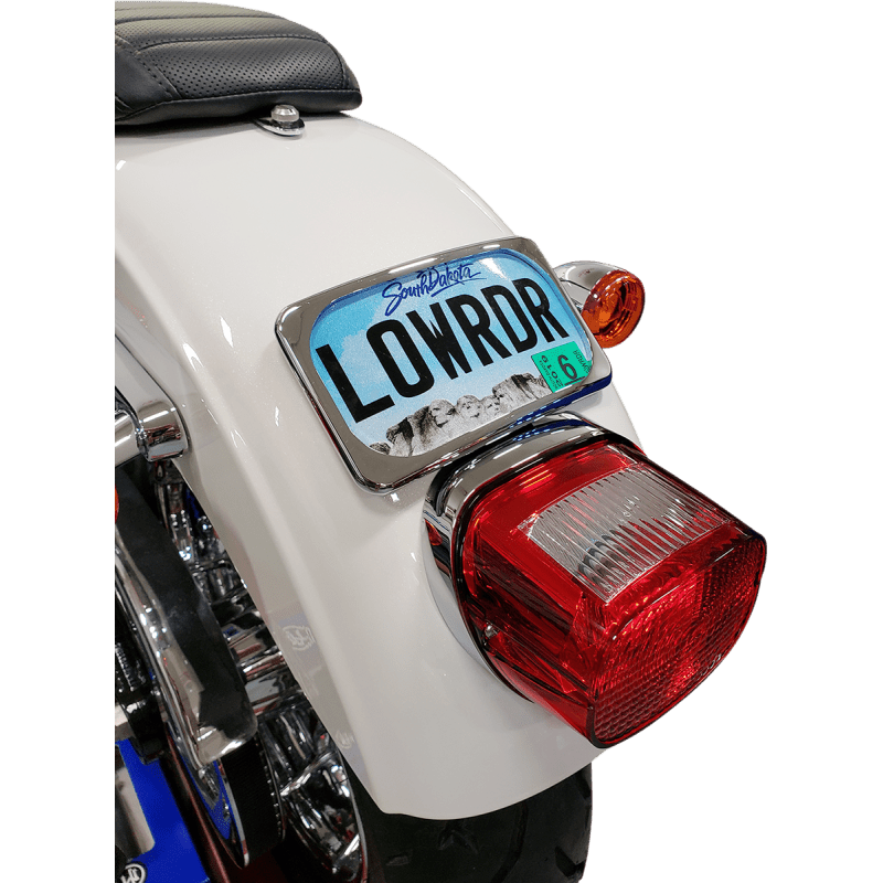 DRAG SPECIALTIES CHR RADIUS 3 - BOLT LIC/PLT LRG - DRIVEN Canada's Powersports 2030 - 0625