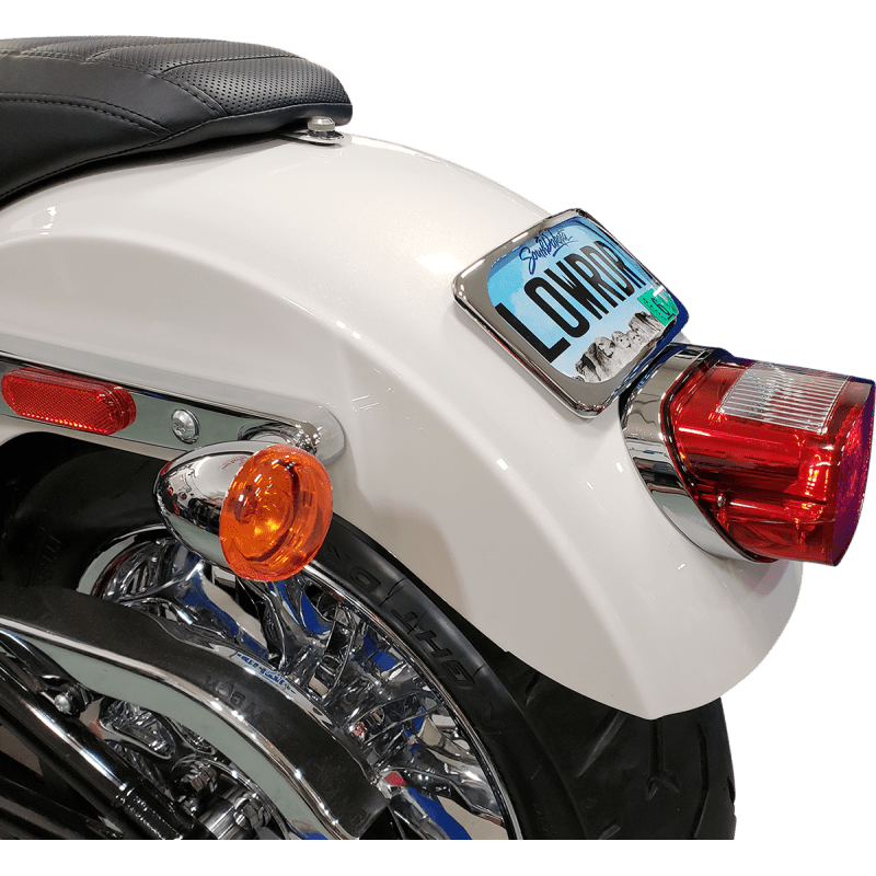 DRAG SPECIALTIES CHR RADIUS 3 - BOLT LIC/PLT LRG - DRIVEN Canada's Powersports 2030 - 0625