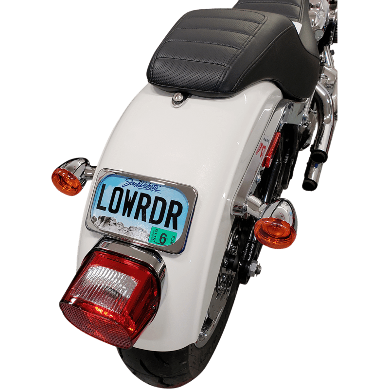 DRAG SPECIALTIES CHR RADIUS 3 - BOLT LIC/PLT LRG - DRIVEN Canada's Powersports 2030 - 0625