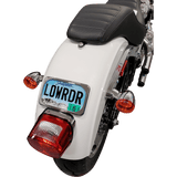DRAG SPECIALTIES CHR RADIUS 3 - BOLT LIC/PLT LRG - DRIVEN Canada's Powersports 2030 - 0625